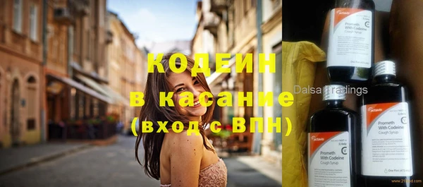 твердый Богданович