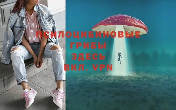твердый Богданович