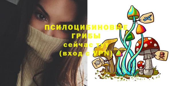 марки lsd Бугульма