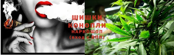 твердый Богданович