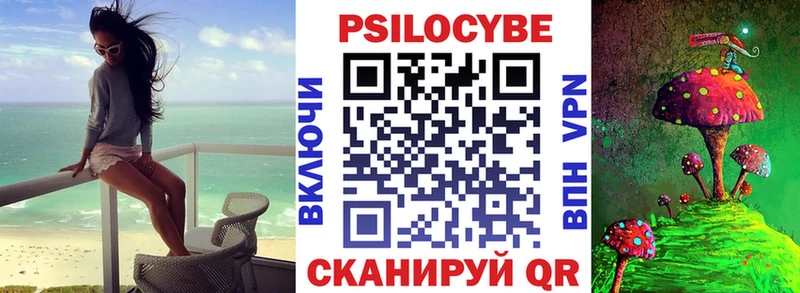 Псилоцибиновые грибы мицелий  наркота  Торжок 